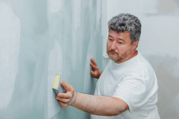 Best Water-Damaged Drywall Repair  in Valley View, PA